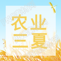 亮色系农业三夏田野蜻蜓微信公众号次图农田中的五彩蜻蜓