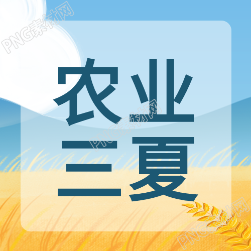 丰收的金黄麦田农业微信大号第二张图