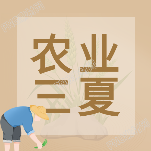 棕色系农业三夏插秧农民微信公众号的最新照片