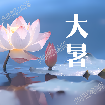 大暑节气下的荷塘月色美景