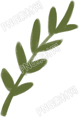植物叶子的特点