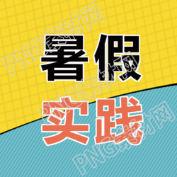 黄色网格创意暑假实践的经验分享