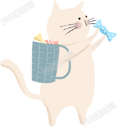 可爱的小猫咪