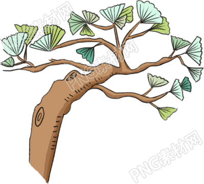 樹(shù)的生態(tài)系統(tǒng)及其重要性