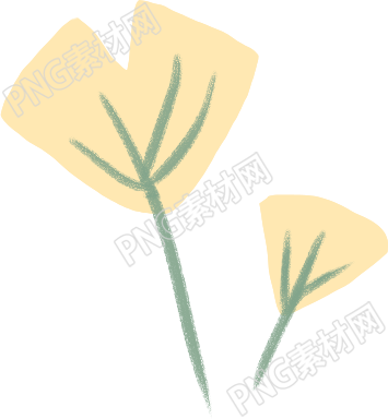 小花色彩絢麗的花朵