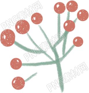 绿色植物养护指南