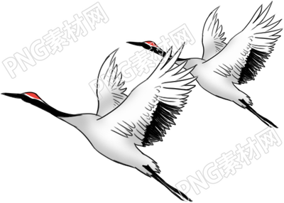 神秘之鶴