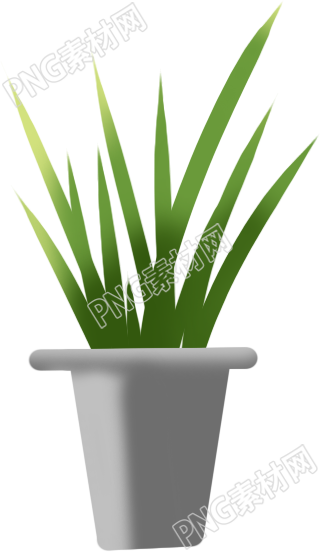 如何照顾盆栽植物