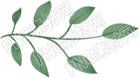 树叶变化的四季之美