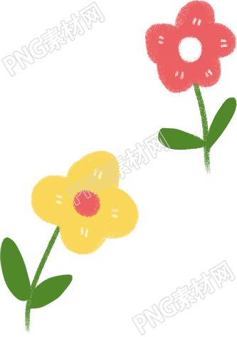 小花绚丽多彩的花朵等你来欣赏