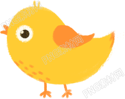 可爱小鸟
