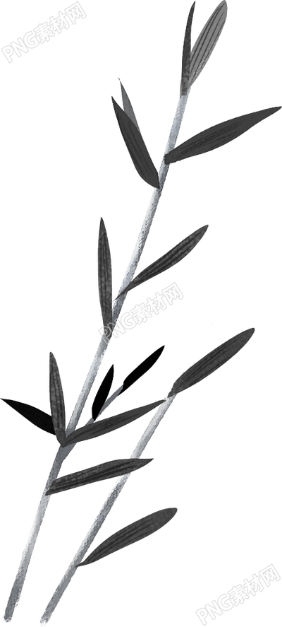 竹子一种神奇的植物