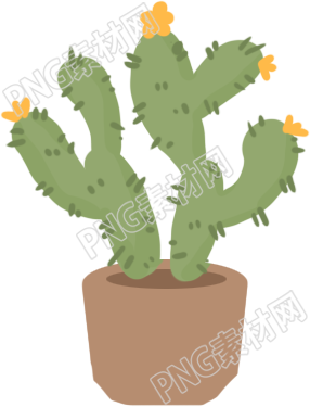 探索仙人掌的奇妙世界