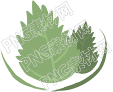 美丽的叶子