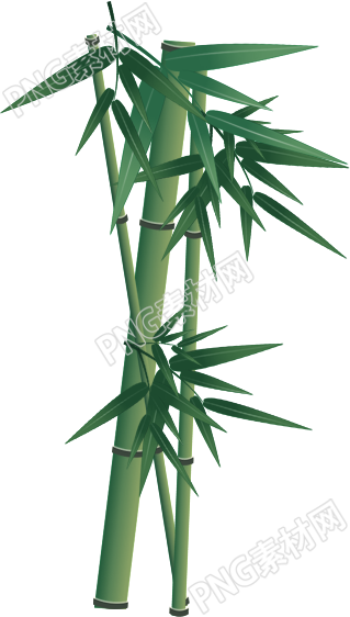 竹林之美