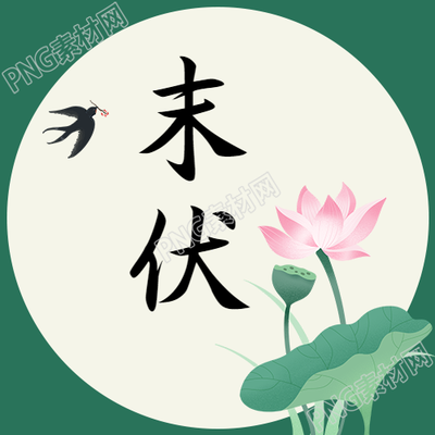 国风荷花荷叶末伏时节微信公众号次图的标题栩栩如生的国风荷花荷叶景象