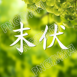 夏日绿色银杏叶微信公众号次图的特点是什么