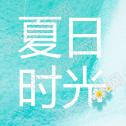 创意海边鸡蛋花绽放夏日时光