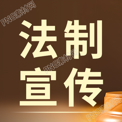 棕色简约法制宣传日微信公众号次图