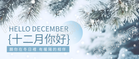 美丽的冬日风光雪中松树与十二月的相遇