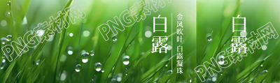 金风吹叶白露凝珠大自然实景公众号封面图