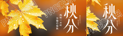 秋分节气风吹一片叶万物已惊秋公众号封面图