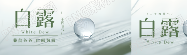 蒹葭苍苍白露为霜透明小水珠公众号封面图