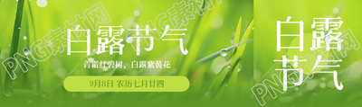 绿色的小草实景白露节气宣传公众号封面图
