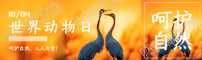 世界动物日呵护自然人人有责公众号封面图