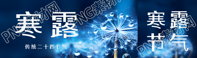 传统二十四节气寒露蒲公英实景公众号封面图