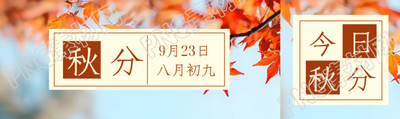 简约高级感二十四节气秋分公众号封面图