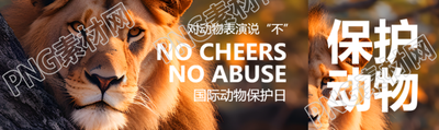 森林中的狮子实景世界动物日宣传公众号封面图