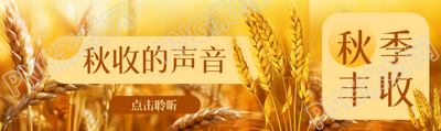 秋收的声音点击聆听简约公众号封面图