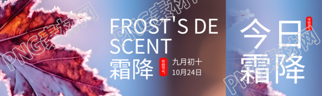 九月初十霜降时节落叶实景公众号封面图