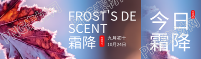 九月初十霜降时节落叶实景公众号封面图
