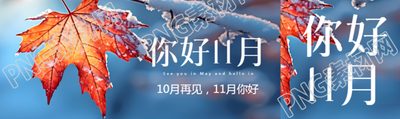 你好11月雪后的红枫叶实景公众号封面图