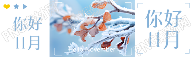 你好11月冬季树叶枝干实景公众号封面图