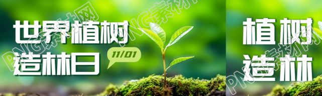 茁壮成长的小树苗世界植树造林日公众号封面图