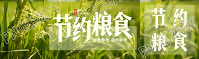 小清新風(fēng)格節(jié)約糧食小麥實(shí)景公眾號封面圖