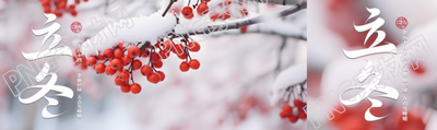 立冬节气雪景中的红浆果实景公众号封面图