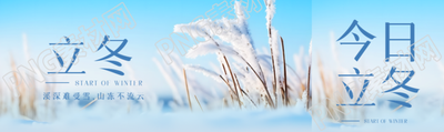 二十四节气立冬雪中芦苇美景公众号封面图