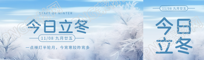 今日立冬下霜后的林中美景公众号封面图