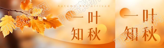 弥散风一叶知秋黄色树叶实景公众号封面图