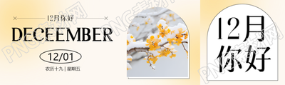 弥散风12月你好唯美腊梅公众号封面图