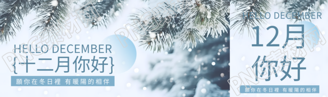 十二月你好唯美雪松实景公众号封面图