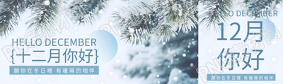 十二月你好唯美雪松实景公众号封面图