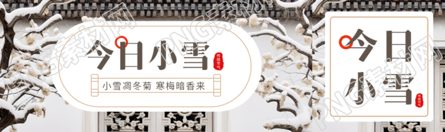 小雪凋冬菊寒梅暗香来实景宣传公众号封面图