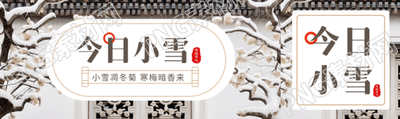 小雪凋冬菊寒梅暗香来实景宣传公众号封面图
