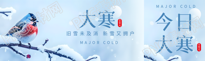 大寒时节鸟儿实景公众号封面图