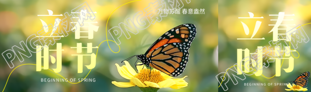 立春时节蝴蝶实景公众号封面图
